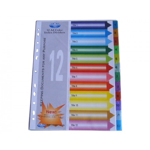 Bìa Phân Trang Nhựa 12 số